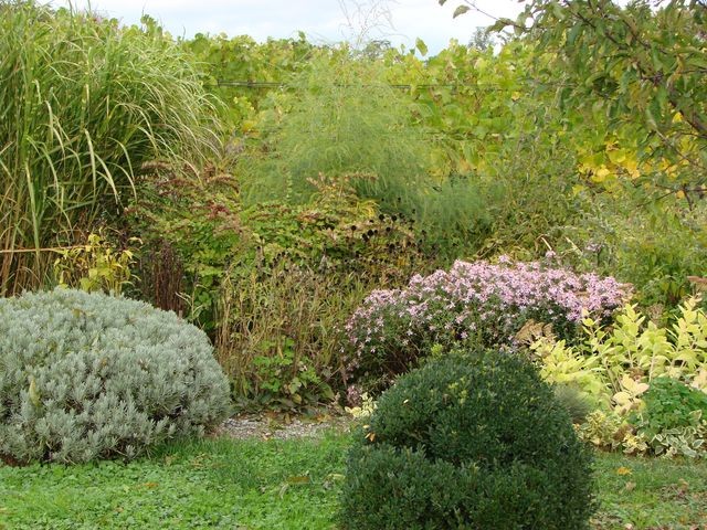 gredica dio s lavandom